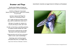 Brummer-und-Fliege-Fallersleben.pdf